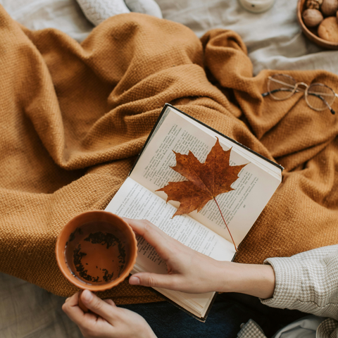 livre ouvert avec tasse dans une ambiance automnale