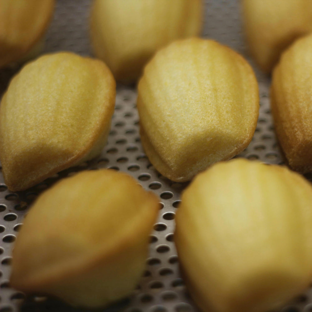 photo de madeleines aux amandes et fleur d'oranger